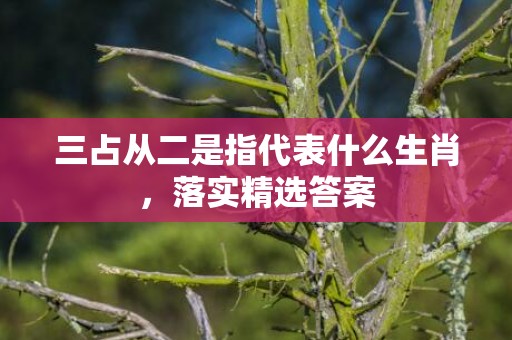 三占从二是指代表什么生肖，落实精选答案