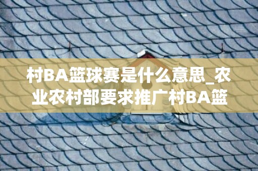 村BA篮球赛是什么意思_农业农村部要求推广村BA篮球赛(村ba篮球赛是什么意思)