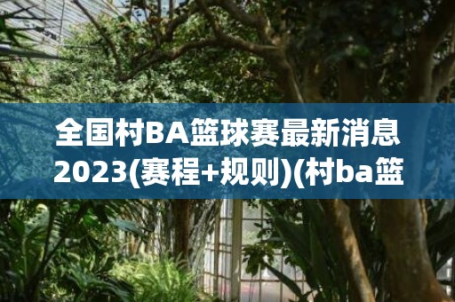 全国村BA篮球赛最新消息2023(赛程+规则)(村ba篮球赛在哪里)