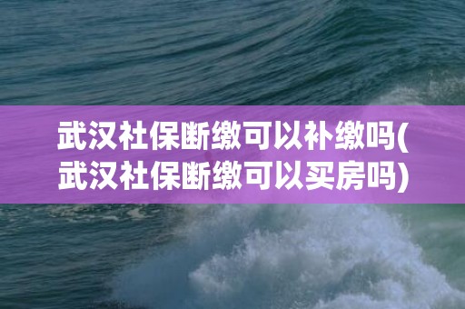 武汉社保断缴可以补缴吗(武汉社保断缴可以买房吗)