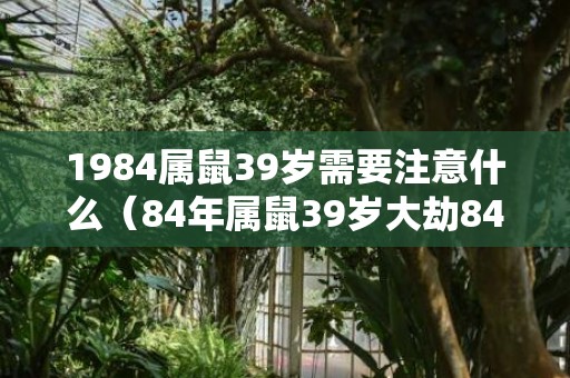 1984属鼠39岁需要注意什么（84年属鼠39岁大劫84年属鼠39岁运气怎么样）