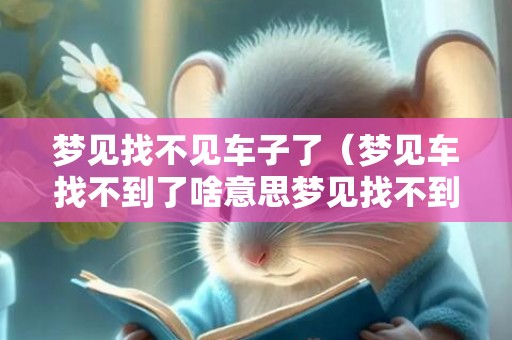 梦见找不见车子了（梦见车找不到了啥意思梦见找不到车了是什么预兆）