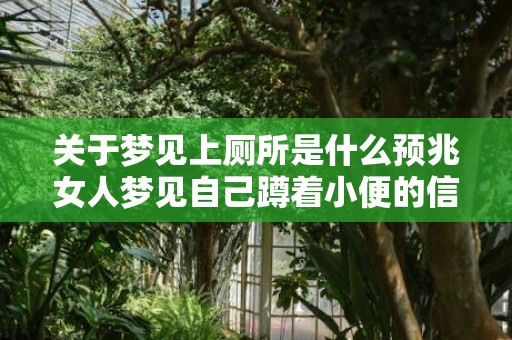 关于梦见上厕所是什么预兆女人梦见自己蹲着小便的信息