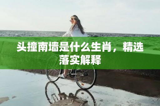 头撞南墙是什么生肖，精选落实解释