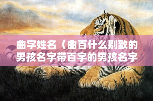 曲字姓名（曲百什么别致的男孩名字带百字的男孩名字）
