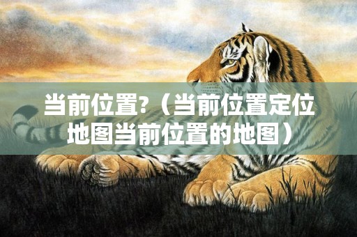 当前位置?（当前位置定位地图当前位置的地图）