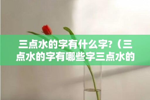 三点水的字有什么字?（三点水的字有哪些字三点水的字1000个）