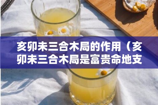 亥卯未三合木局的作用（亥卯未三合木局是富贵命地支亥卯未三合木局的好处）