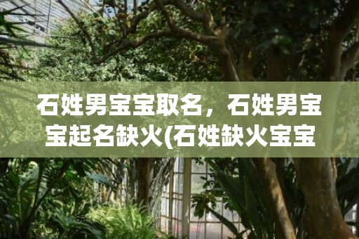 石姓男宝宝取名，石姓男宝宝起名缺火(石姓缺火宝宝的独特命名法则与流程，带您踏入暖流新生活。)