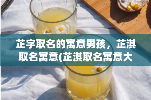 芷字取名的寓意男孩，芷淇取名寓意(芷淇取名寓意大解析，名字含义详细解释及案例！)