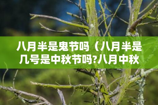 八月半是鬼节吗（八月半是几号是中秋节吗?八月中秋节的来历）