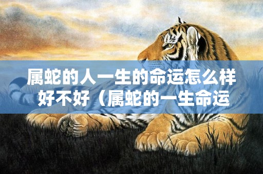 属蛇的人一生的命运怎么样 好不好（属蛇的一生命运,属蛇人一生的运势属蛇的人一生运势怎么样...）