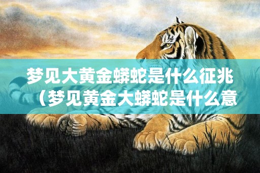 梦见大黄金蟒蛇是什么征兆（梦见黄金大蟒蛇是什么意思梦见了一条黄金大蟒蛇什么意思_...）
