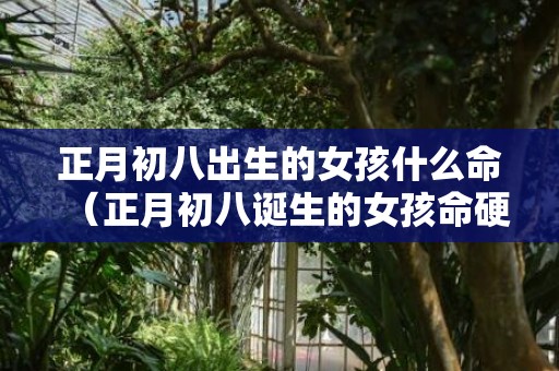 正月初八出生的女孩什么命（正月初八诞生的女孩命硬正月初八出生女子的命硬吗?）