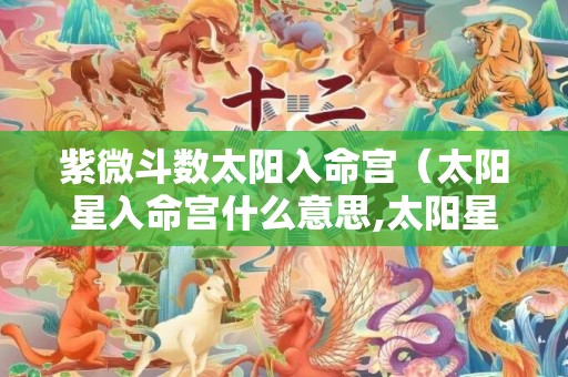 紫微斗数太阳入命宫（太阳星入命宫什么意思,太阳星入命宫性格特点）