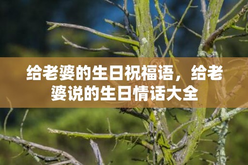 给老婆的生日祝福语，给老婆说的生日情话大全