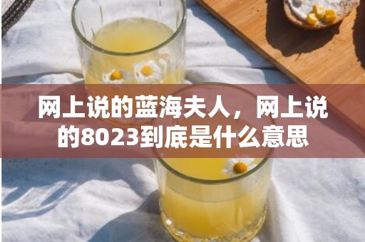 网上说的蓝海夫人，网上说的8023到底是什么意思