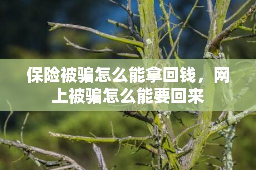 保险被骗怎么能拿回钱，网上被骗怎么能要回来