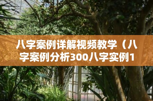 八字案例详解视频教学（八字案例分析300八字实例100例）