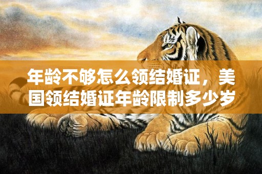 年龄不够怎么领结婚证，美国领结婚证年龄限制多少岁