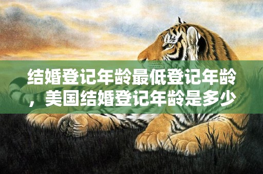结婚登记年龄最低登记年龄，美国结婚登记年龄是多少周岁的