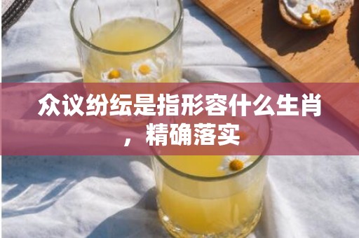众议纷纭是指形容什么生肖，精确落实