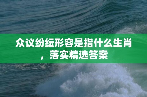 众议纷纭形容是指什么生肖，落实精选答案
