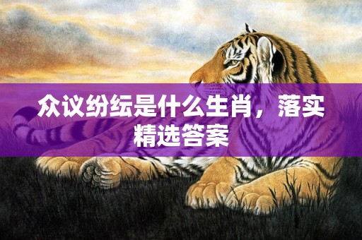 众议纷纭是什么生肖，落实精选答案