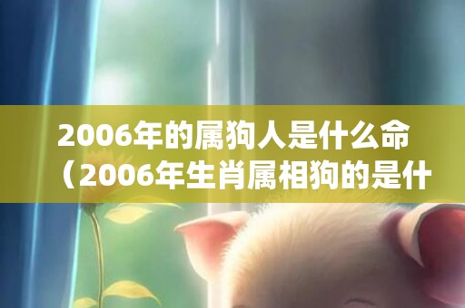 2006年的属狗人是什么命（2006年生肖属相狗的是什么命2006年出生属狗的是什么命_卦...）