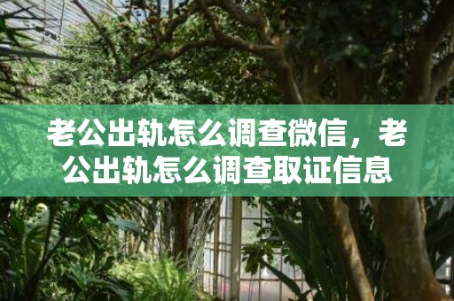 老公出轨怎么调查微信，老公出轨怎么调查取证信息
