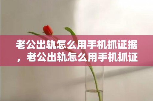老公出轨怎么用手机抓证据，老公出轨怎么用手机抓证据