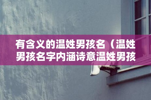 有含义的温姓男孩名（温姓男孩名字内涵诗意温姓男孩名字内涵诗意四字）