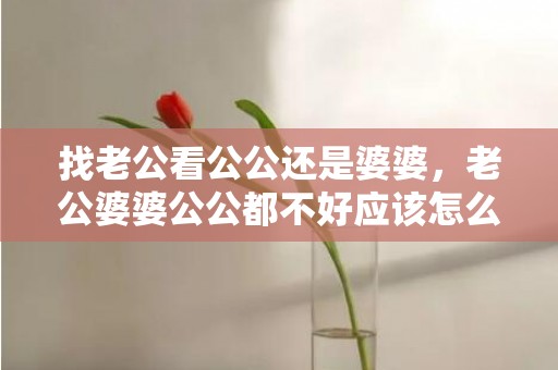 找老公看公公还是婆婆，老公婆婆公公都不好应该怎么办呢