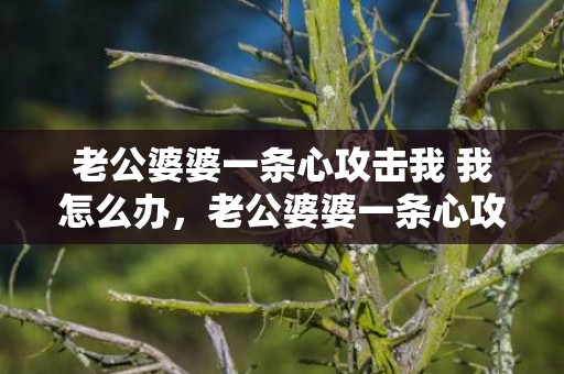 老公婆婆一条心攻击我 我怎么办，老公婆婆一条心攻击我