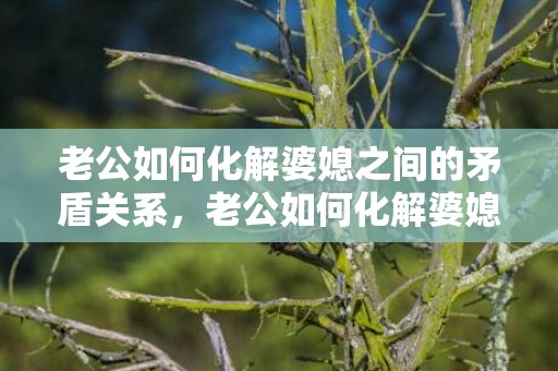老公如何化解婆媳之间的矛盾关系，老公如何化解婆媳矛盾妙招呢