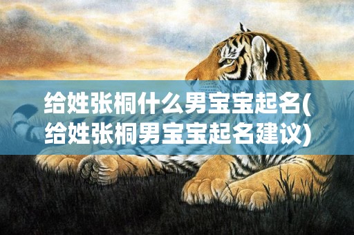 给姓张桐什么男宝宝起名(给姓张桐男宝宝起名建议)
