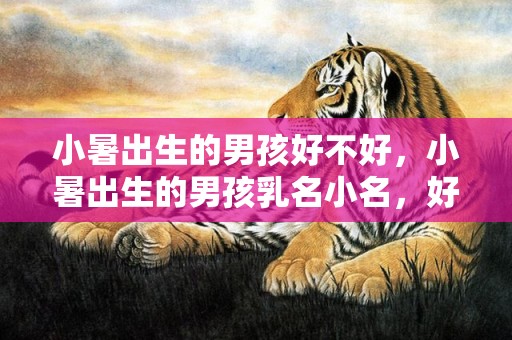 小暑出生的男孩好不好，小暑出生的男孩乳名小名，好听的男孩小名