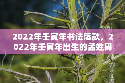 2022年壬寅年书法落款，2022年壬寅年出生的孟姓男孩起名虎年宝宝什么名字好？