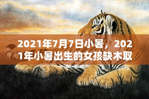 2021年7月7日小暑，2021年小暑出生的女孩缺木取名，洋气有内涵的名字