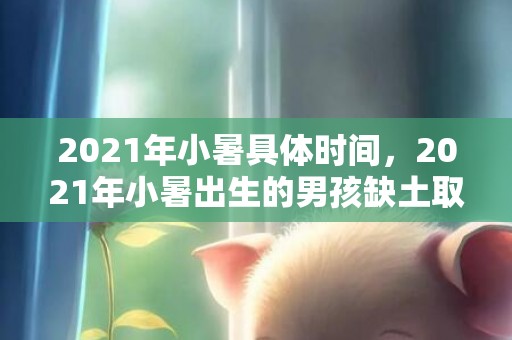 2021年小暑具体时间，2021年小暑出生的男孩缺土取什么名字