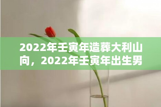 2022年壬寅年造葬大利山向，2022年壬寅年出生男孩取名大全，虎年男宝宝名字