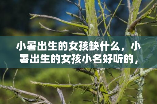 小暑出生的女孩缺什么，小暑出生的女孩小名好听的，洋气的女宝宝小名