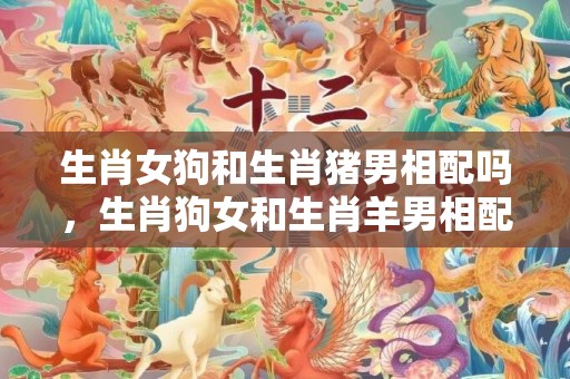 生肖女狗和生肖猪男相配吗，生肖狗女和生肖羊男相配吗