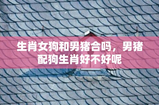 生肖女狗和男猪合吗，男猪配狗生肖好不好呢