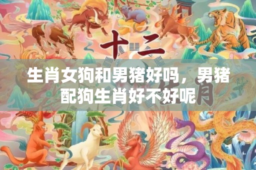生肖女狗和男猪好吗，男猪配狗生肖好不好呢