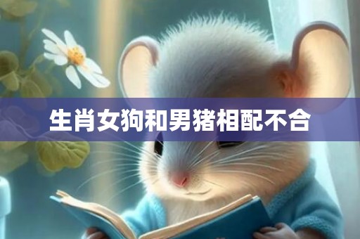 生肖女狗和男猪相配不合