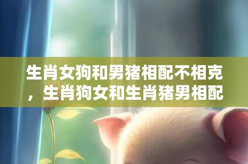 生肖女狗和男猪相配不相克，生肖狗女和生肖猪男相配吗