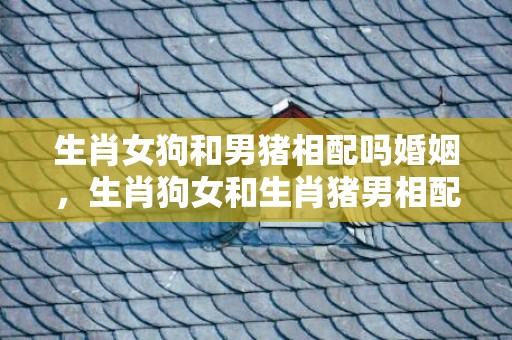 生肖女狗和男猪相配吗婚姻，生肖狗女和生肖猪男相配吗