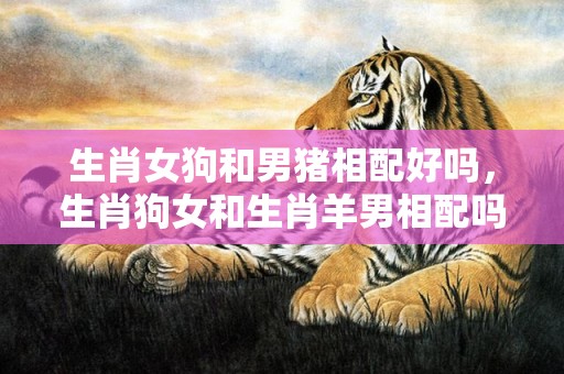 生肖女狗和男猪相配好吗，生肖狗女和生肖羊男相配吗