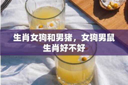生肖女狗和男猪，女狗男鼠生肖好不好